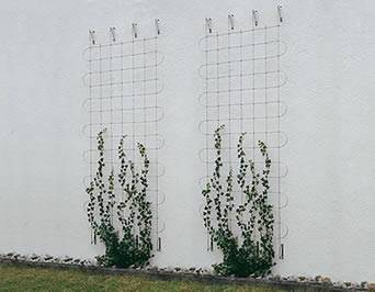 Two small greening facades with square patterns are used to encourage climbing plants.